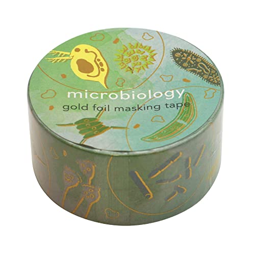 STUDY HOLIC }XLOe[vywz}Xe fR[V 킢 ST-20