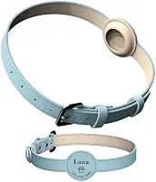 Coleira Para Rastreador AirTag Gps Cachorro Cães Cão Pet Personalizada Com Nome E Telefone Identificação (Azul Celeste, G)