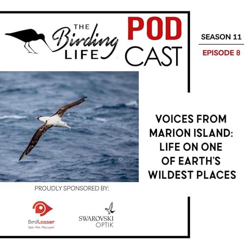 Page de couverture de TBL Podcast Season 11 Episode 8 - Voices from Marion Island Life on One of Earth’s Wildest Places