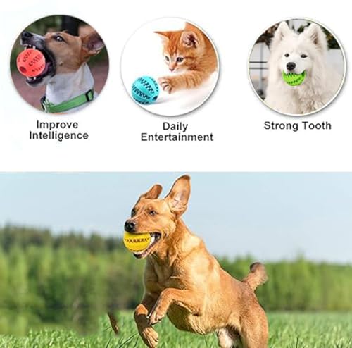 Hundespielzeug Ball, 4 Stück Hundeball, Naturgummi Hundespielzeug mit Minzgeschmack Ø 5cm, Hundezahn Reinigungs Spielzeugball, Hund Feeder Ball, interaktives Hundespielzeugs für Große & Kleine Hunde