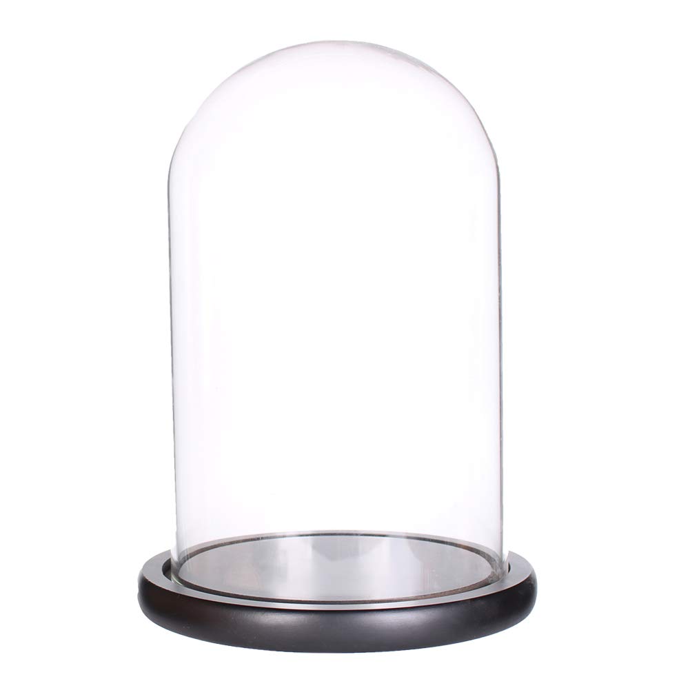 AHANDMAKER Campana decorativa a cupola in vetro con base in legno