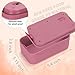 Lockable Storage Box,Medicine Safe Case Container,Refrigerator Lockbox for Personal Private Items,Medicines,Food,Snacks,Locking Cell Phone Smart Device Jail,Small Lock Box for Office,Home (Berry)