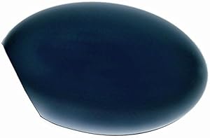 Generisch Spiegelkappe rechts lackierbar 2004-2006