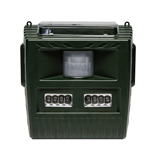 image for BIRD·B·GONE Bird B Gone Solar Yard Shield Animal & Pest Repeller - S