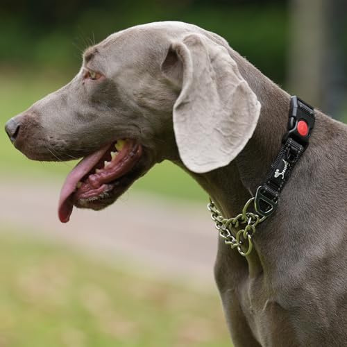 PETTOM Hundehalsband – Verstellbares, Reflektierendes Halsband mit Sicherheitsverschluss für Training, Atmungsaktives Nylon für Mittelgroße bis Große Hunde (Schwarz, M 43-52cm)
