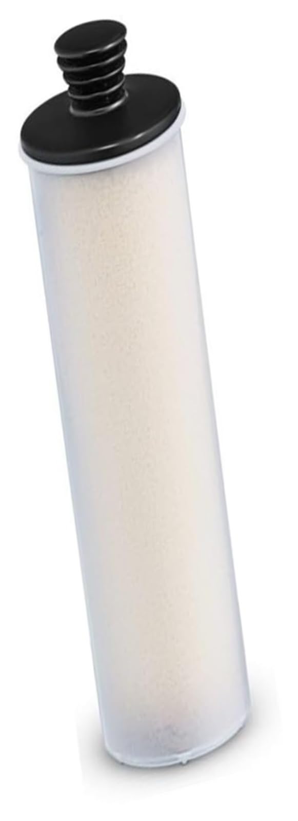 For SC2 SC3 Dampf Reiniger Entkalkung Patrone Ersatz Reinigung Stange Zubehör(2 pcs)