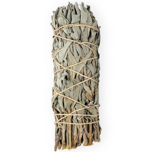 Comparison: Best Sage For Smudging 8 Yerbero - 1 Premium 4'' White Sage Smudging Sticks | California White Sage | Salvia | 1 Hand Tied for Home Spiritual Blessing Positive Energy Harmony & Meditation. (Blue Prairie Sage)
