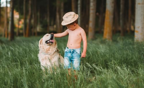 『245: Jen Shryock on Kids, Dogs, and Body Language』のカバーアート