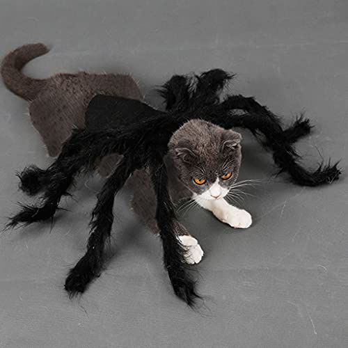 LOVIVER Spinnenhund Kostüm für Halloween Party - Hund Kostüm für Teddy, Mops, Chihuahua, Shih Tzu, Yorkshire Terrier