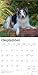 Border Collies | 2026 12 x 24 Inch (Hanging) Monthly Square Wall Calendar | Plastic-Free | BrownTrout | Animals Dog Breeds