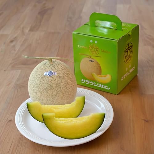 É NE P 1.2sO ϔ Mtg