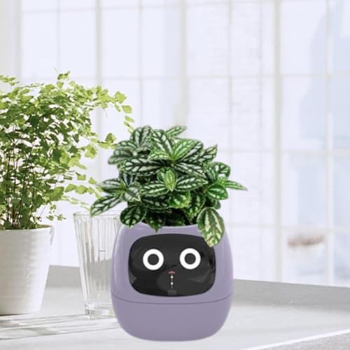 Pot de fleurs intelligent violet : la solution anti-arrosage excessif avec écran - 8