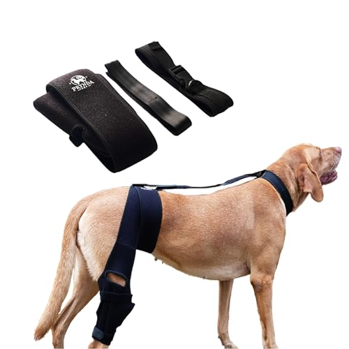 Image of Adjustable Dog Knee Brace for Torn ACL and Luxating Patella - Support for Back Leg, Hip Dysplasia, and Post-Surgery Recovery. Optimal Comfort and Stability for Your Beloved Pet