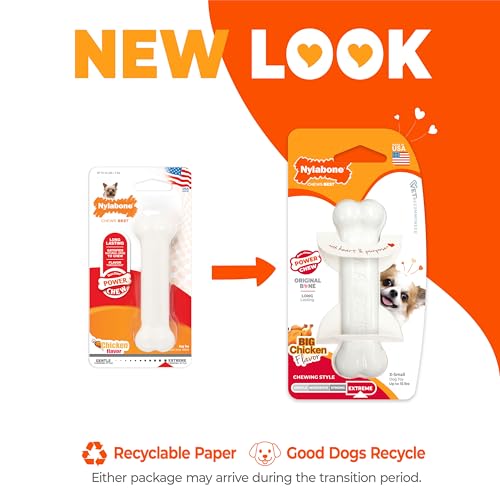 Image of Nylabone Power Chew Classic Bone Chew Toy for Dogs, Durable Dog Toys for Aggressive Chewers, Chicken Flavor, X-Small /Petite - Up to 15 lbs. (1 Count) | Durable, discourages destructive chewing, long lasting, flavor throughout, keeps dogs busy, for dogs up to 15 pounds