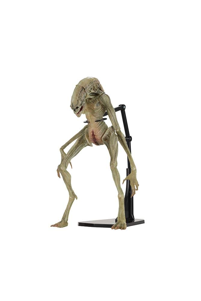 花*道様 NECA ネカ　ニューボーン　エイリアン　ゼノモーフ Amazon.co.jp: (ネカ) エイリアン4 7インチ デラックス アクション
