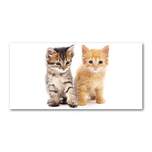 Crédence de cuisine en verre trempé 100x50 cm motif chat - Tulup