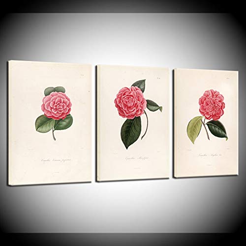 Affiches nordiques fleurs et feuilles peinture sur toile intissée salon