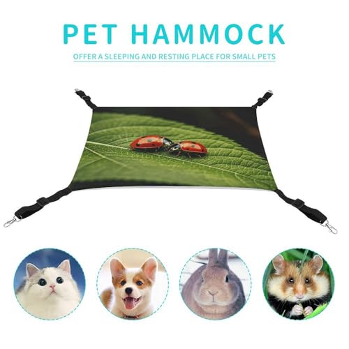 Hamac pour chat suspendu anti-stress avec feuilles et coccinelles - 5