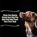 Animal Health Solutions - Spunky, Digestive Aid that Helps Improve Joints and Stamina for any Dog (1 pound)