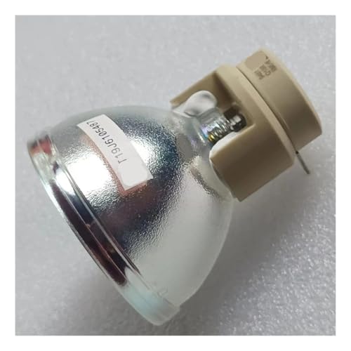 Ampoule de projecteur P-VIP240/0.8 E20.9 haute performance HT3050