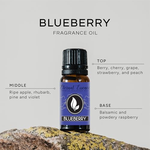 Image of Blueberry Premium Grade Fragrance Oil - 10ml - Scented Oil