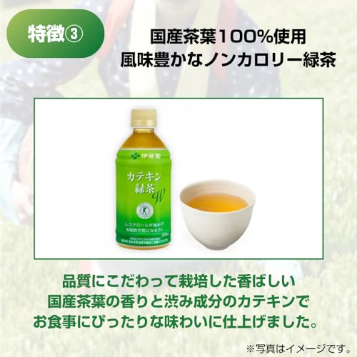 伊藤園 健康体 カテキン緑茶W PET 350ml×24本