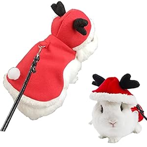 Anelekor Small Animals Christmas Co...