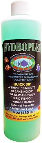 Ruby Reef Hydroplex (16 oz.)