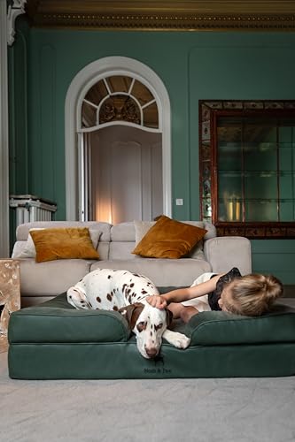 Image of NOAH & PAW XL Dog Bed, 45x35x11 Inch, Orthopedic Large Dog Beds, Eggshell Memory Foam Infused with Cooling Gel, Inner Cover, Water Resistant, Machine Washable (Faux Leather)