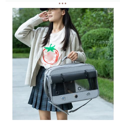 Enclos oiseaux facile à transporter cage perruche calopsitte avec sac