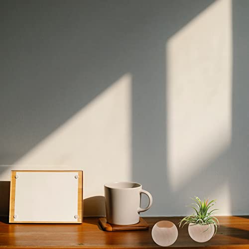 Nwsrayu 3 Pcs Wood Air Plant Holder Air Plant Pots Air Plants Display Containers Table Centerpiece Succulent Plants Pot For Home Office Tabletop Decor #TOP5