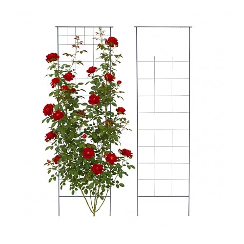 Relaxdays Rankgitter 2er Set HxB 193 x 58 cm Metall Rankhilfe für Kletterpflanzen Garten Rosenrankhilfe schwarz