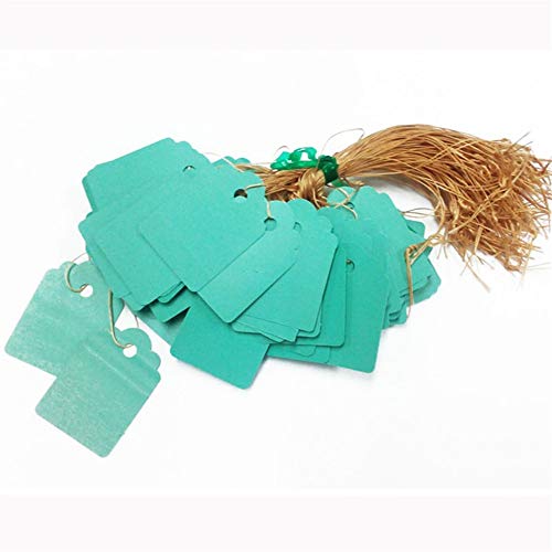 Kelry 3.6x2.5cm Lot 100pcs Strip Line Garden Label Plant Hanging Tag Mini Seed Signs Hot