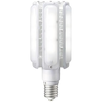 たしろ屋 岩崎LEDライトバルブ110W LDTS110N?G?E39