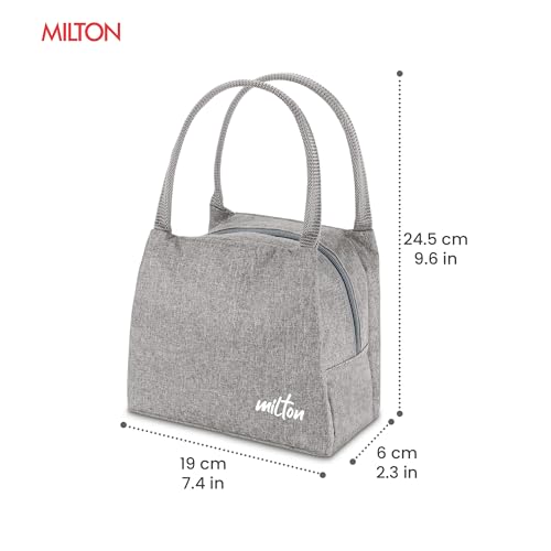Image of MILTON Fancy Lunch Bag I Design Tiffin Bag for Office for Men, Women I Eco Friendly, Spacious, Durable I 2.44 L I Grey