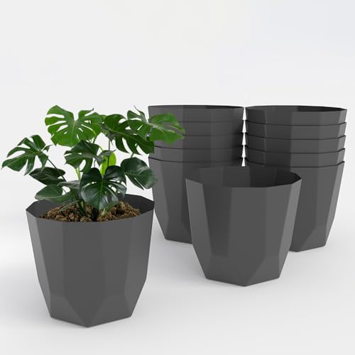 Image of YUCCABE ITALIA SHERA Hexa Plastic Planter Pot for Plants | Decorative Flower Pot | UV Protected Lightweight Indoor Outdoor Gamla for Home Decor, Balcony, Garden & Living Room