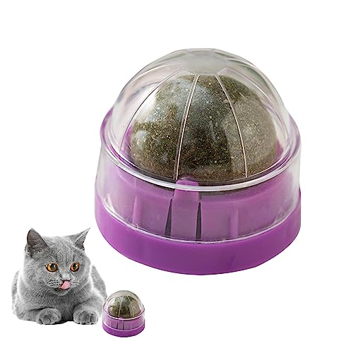 Tumotsit Wand Katzenminze, essbares Bio-Spielzeug für Kätzchen, Kauspielzeug mit Kugel, Katzenminze, Wand, Leckbälle für Katzenminze