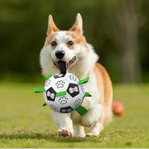 Spielzeug- Ball, stabiles interaktives Spielset, interaktives Hundespielzeug, für Park, Hinterhof- Training, Spielzeit, Familienübung, Freizeit-3