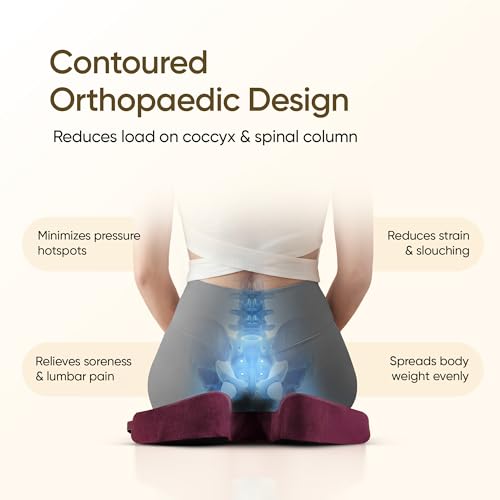 Image of Frido Slim Coccyx Seat Cushion | Orthopaedic Sitting Cushion for Tailbone & Sciatica Relief | Slim Office Chair Support for Long Sitting Hours, Driving & Daily Comfort | Anti-Slip Bottom | Red Wine