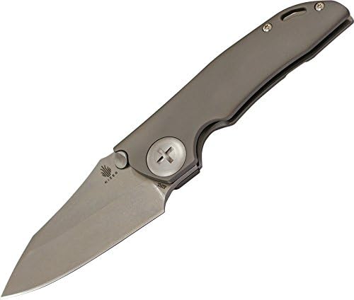 Kizer Cutlery GPB1 3.5" Folder Titanium Wharncliffe Plain Flooding Knife, Gray