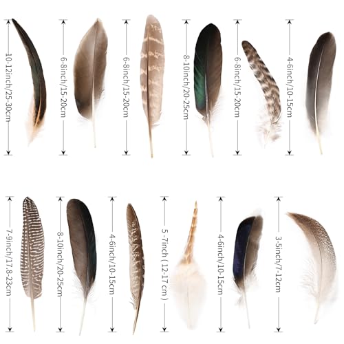 Natural Feathers Bulk - 150PCS - 12 Styles Assorted Natural Feathers, Pheasant Feathers, Turkey Feathers for DIY Crafts, Wedding, Crafting Supplies