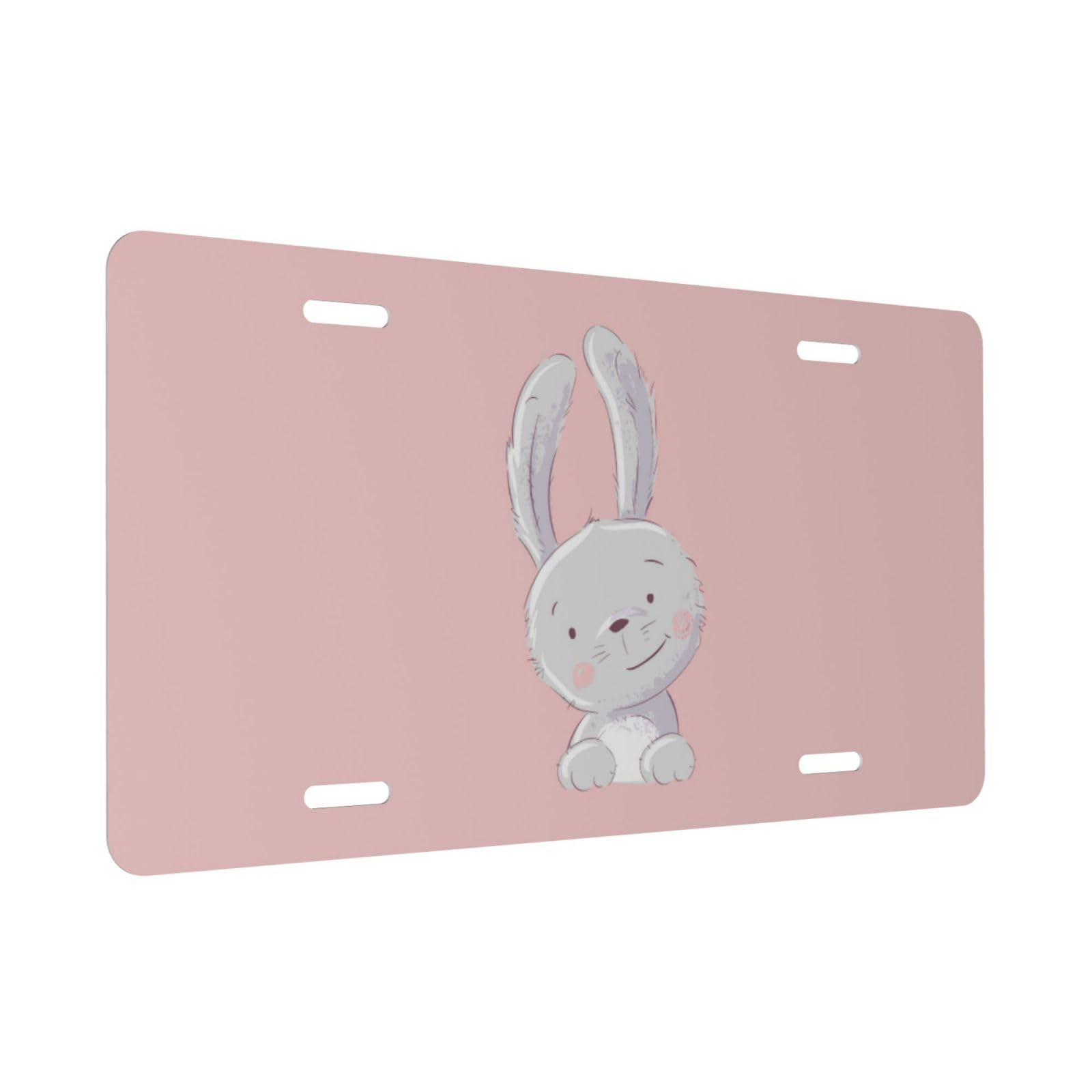 12x6 Inch Novelty Plate Bunny Floral License Plate - 12x6 Inch Aluminum ...