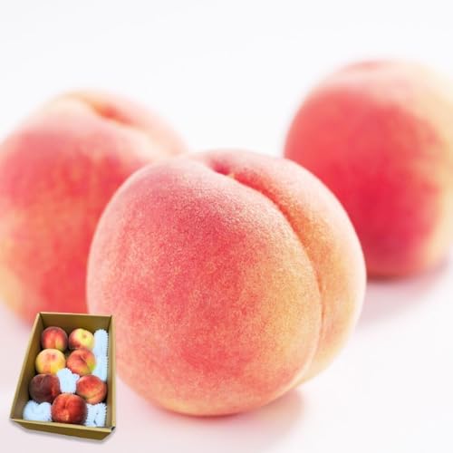 [݂̂₳]  󂠂 2kg (8ʑO) N[ց ƒp ʕ s[`  