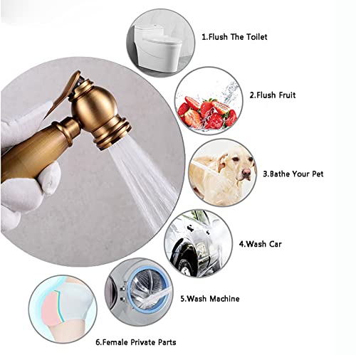 Pulvérisateur de bidet à main for toilettes en laiton rétro