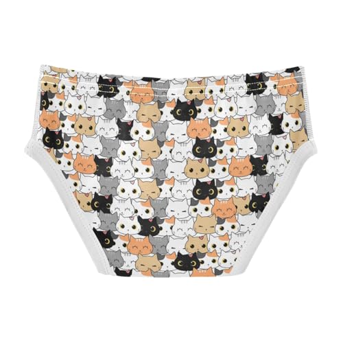 Boys' Exclusive Briefs Toddler Underwear 95% Combed Cotton Boxerbriefs 2T Cat Pattern 802