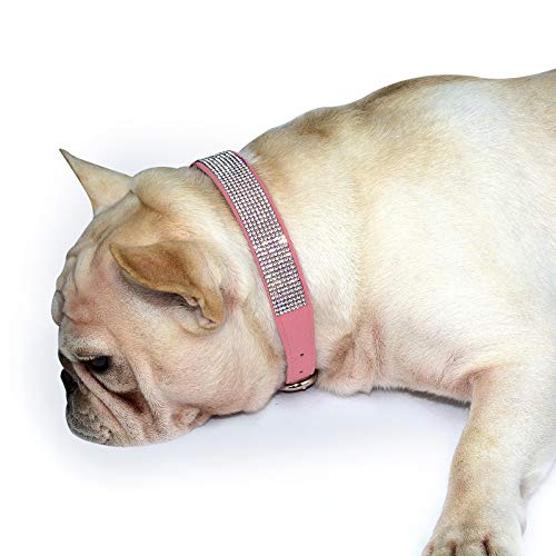 Hifrenchies - Collare per cani in pelle