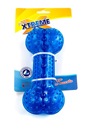 Petuky Pointes Porte récompenses Bone Xtreme, Grande, Bleu,