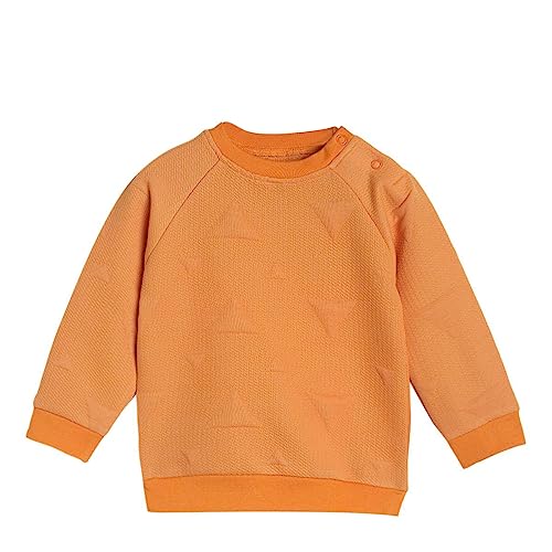 Image of miniklub Baby Round Neck Long Sleeve Knitted Cotton Sweat Shirt (Orange Color)