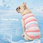 2pack Dog Cooling Shirt, Breathable Sleeveless Summer Clothes for Dogs, Intant Cool T Shirts for Small Dogs, Pink M - Image 3