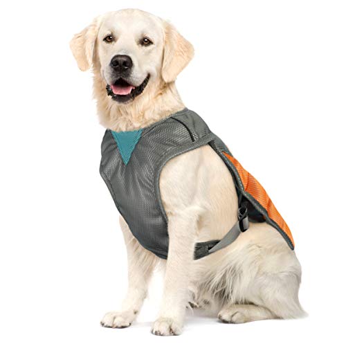 Top 10 Cooling Vest For Dogs of 2022 Savorysights